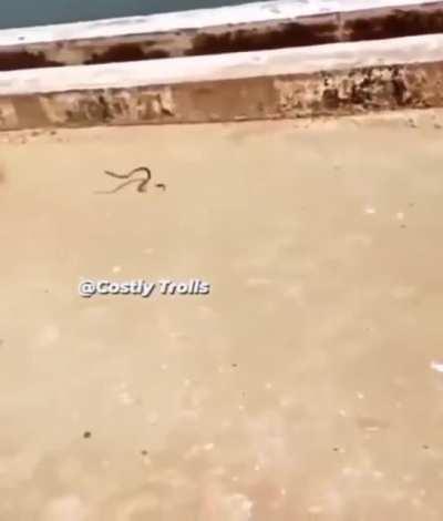 Hoick across the line or clever reverse sweep?