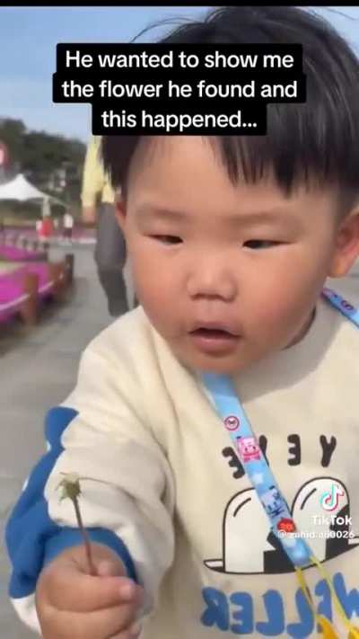 Look mommy a dandelion