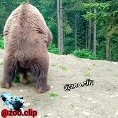 r/animalsbeingbros r/nature ismetal😆😅😅☺️☺️🥳😋