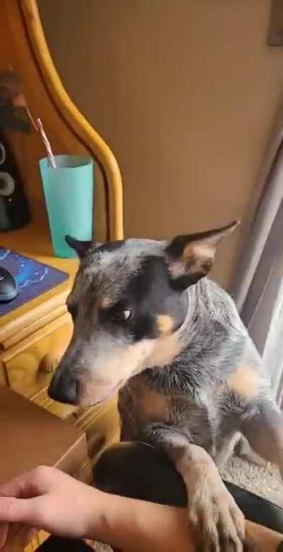 Sound on, my girl likes to talk