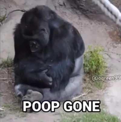 I'm 15 and this is yeet