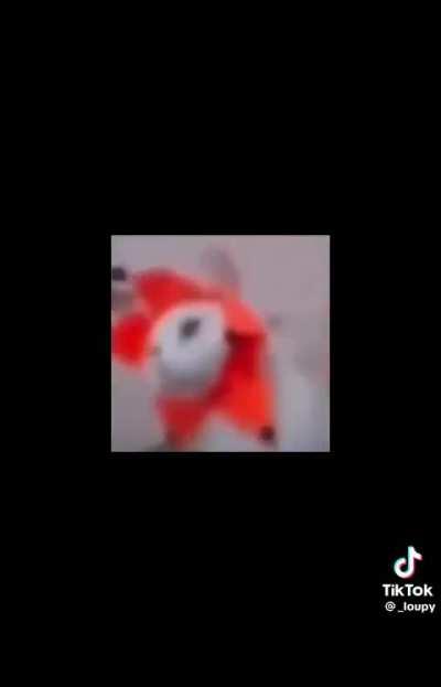 Itâs jimmyâs birthday