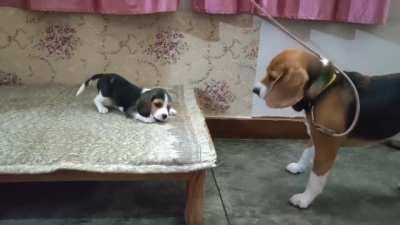 Deep conversation between father & daughter
