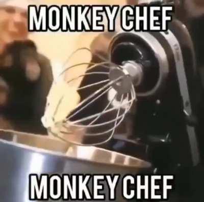 Monkey chef