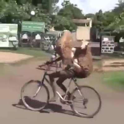 A new way of transportation