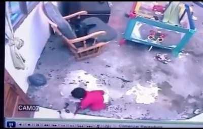 Cat stops baby from falling down the stairs.