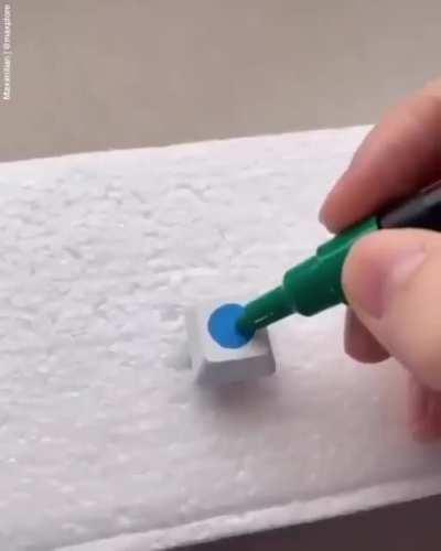 Instructions unclear, I cannot type now