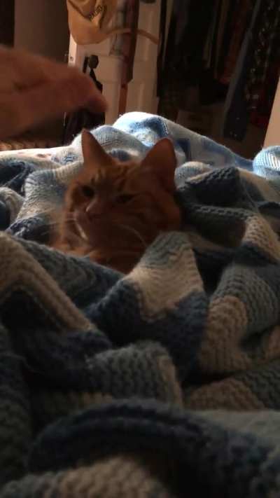 Pippy (14) doesn’t like mornings.