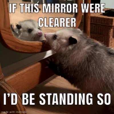 Ruler of all the trash