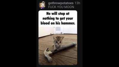 Idk what to call this 