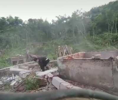 He had that one coming