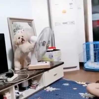 This is one smart cookie