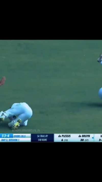 The art of wicketkeeping 