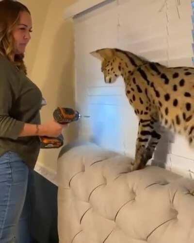 sogga hates home depot