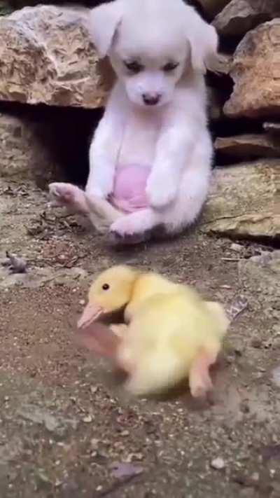 A true friend can change your world