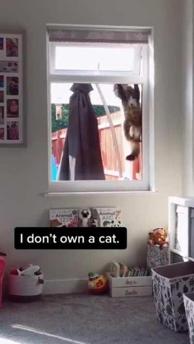 Теперь есть