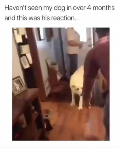 I don't know if this has been posted on here already but it is too damn beautiful.