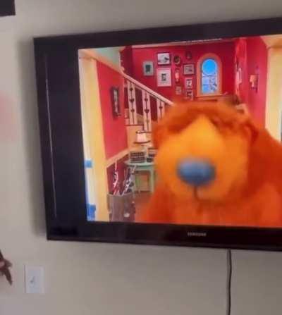 Big bear loves 🌿🚬💨