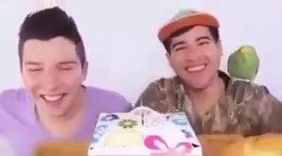 evolution just backwards