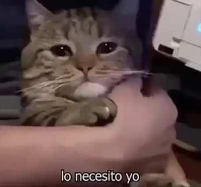 instant karma? more like lazy karma