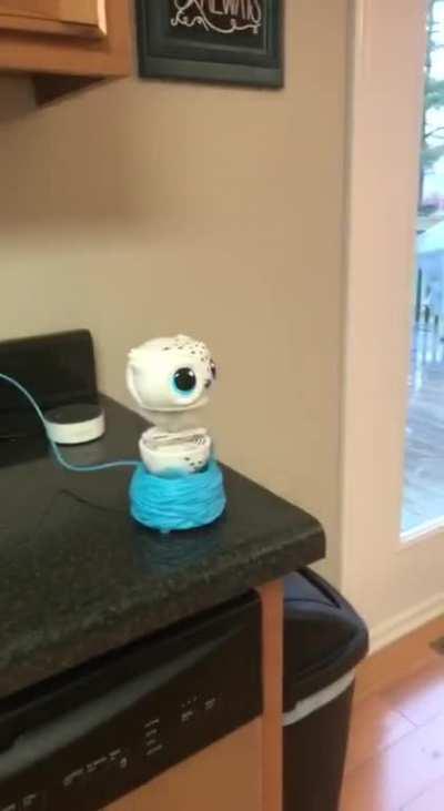 My child loves her new Christmas toy