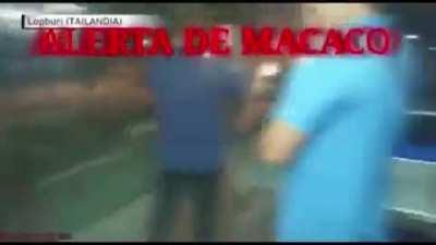 Carreira Brasileira🇧🇷