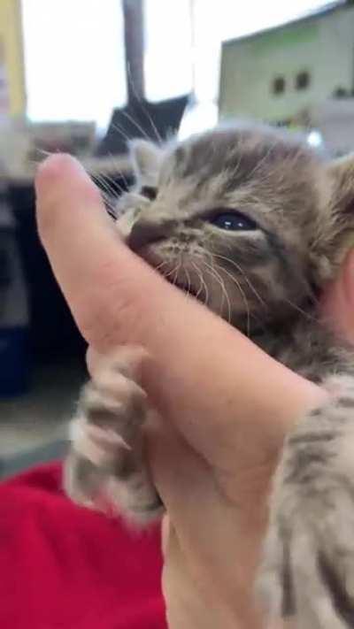 A vicious attack caught on camera.