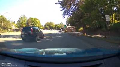 my fault for driving in his lane [oc]