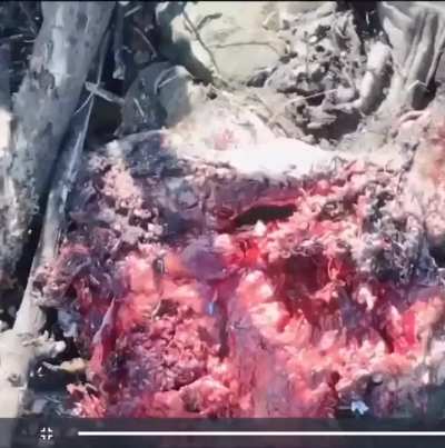 FOV drone exposes Russian soldier chest cavity. High DEF drone camera records overhead.
Date: Unknown