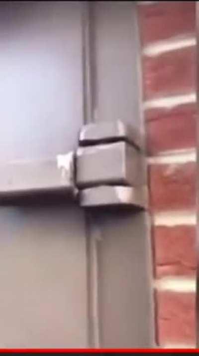 They must of been desperate