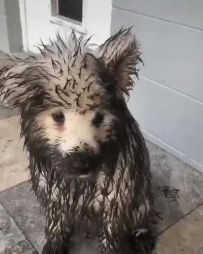 If we don’t say a word!! No one will even know what we just did!