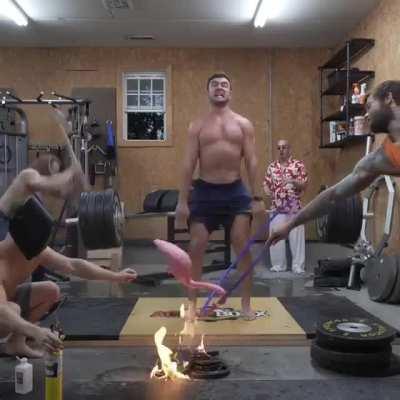 Literally the the definition