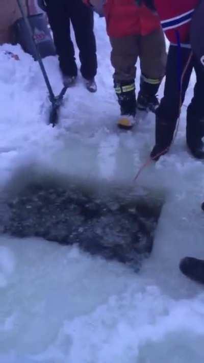 The phone must have some quality nudes in it