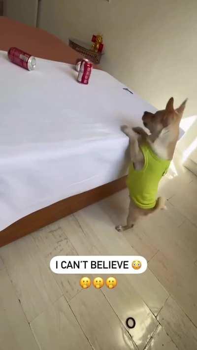 The accuracy is insane