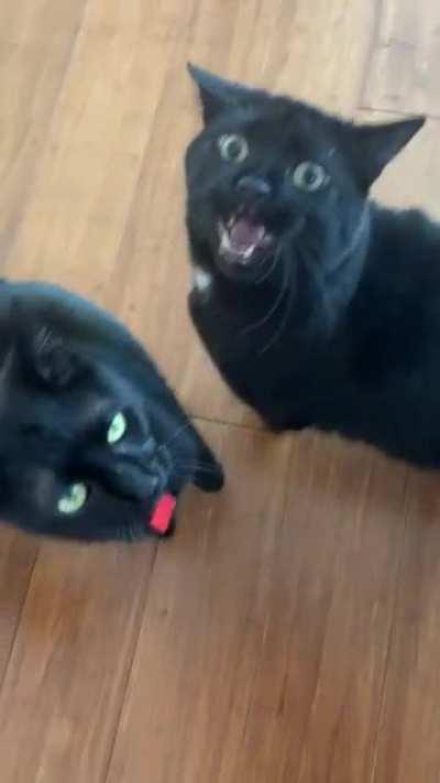 It&rsquo;s the crazy eyes for me.