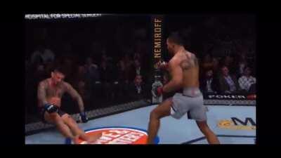 Made this to appreciate the last couple years of the ufc. Face The Pain.