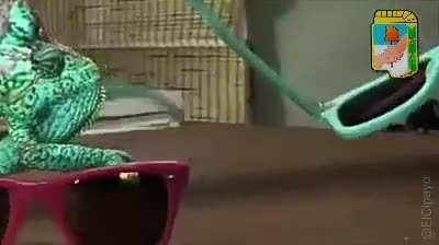 Perón, Perón, 🎶gran cagador, 🎶 sos el primer estafador 🎶