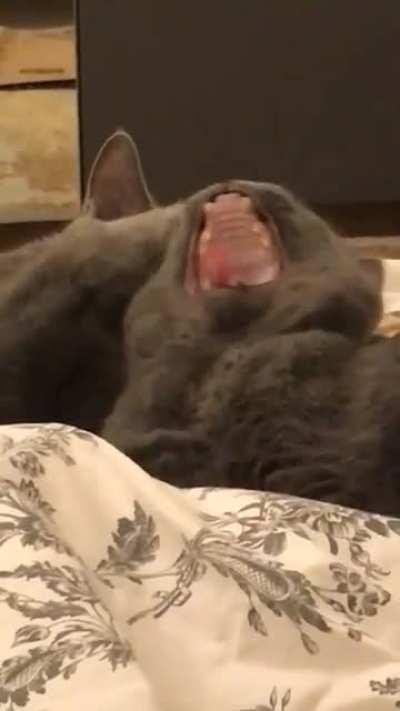 Well that was awkward