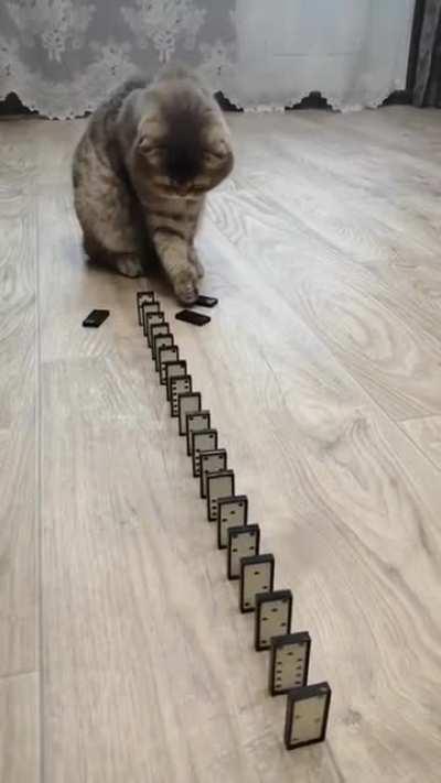 “Did I do that?”