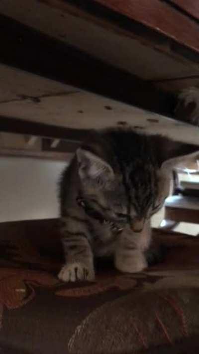 Little baby needs hugs.