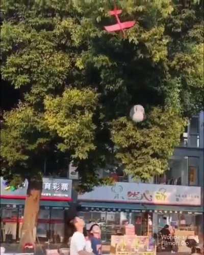 Probably the one who got it stuck up there