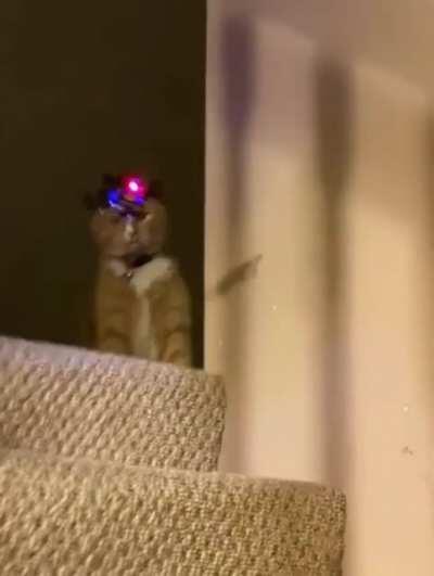 A cat, a drone and the Shadow Realm.