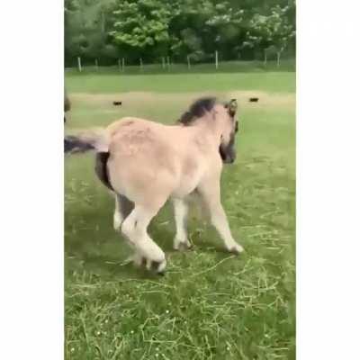 Please.. Don't stop!!