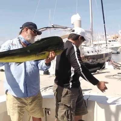 🔥 I'll be taking that, thank you.