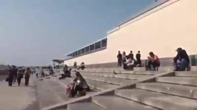 This bird taking food from a child