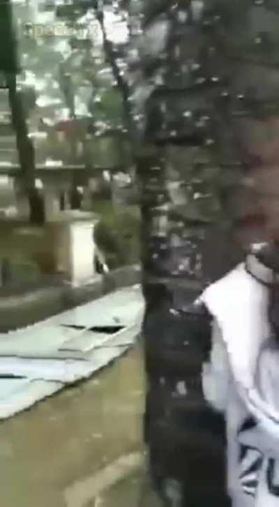 Blursed_SriLankan_Mario