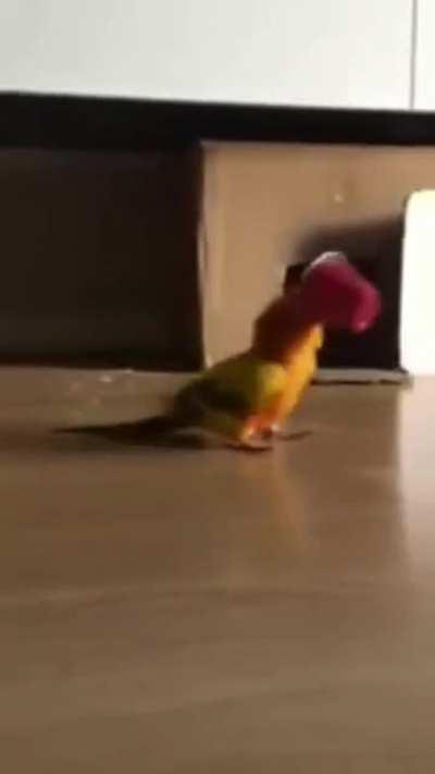 Saw a shortened version and just had to upload the whole thing for everybody who hasn't seen it before. Credit to the original owner.