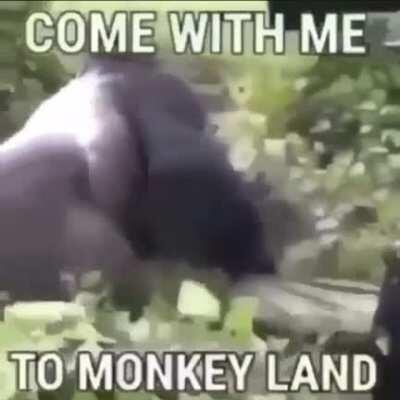 moke is the second oppresed group in the world😞