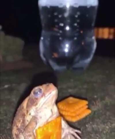 Sometimes it just be like this