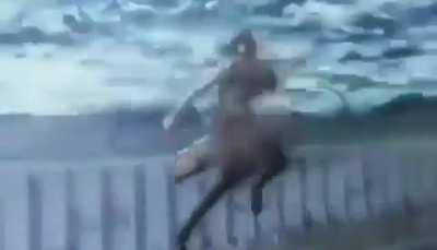 least nationalistic Pakistani